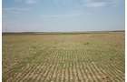 Property photo 51 - LAND AUCTION, 3255+/- Acres offered in 13 Tracts